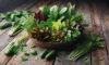 Summer Salad: Your Guide to a Vibrant Fresh Dish