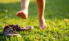 Orthopedic Benefits of Barefoot Footwear for Kids