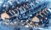 House Clearance Costs: Essential Tips for Negotiation in the UK