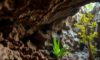 Belizean Caves: Uncovering Archaeology, Climate, and Nature