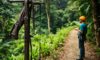 Canopy Tours: Thrilling Zip Lining Adventures in Belize