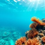 Snorkelling the Belize Barrier Reef: Best Spots and Wildlife