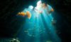 Diving in Belize: Discover Breathtaking Underwater Wonders