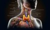 Thyroid Blood Test Service in Aylesbury: Fast and Trustworthy