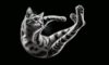 The Science Behind Cats Always Landing on Their Feet