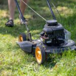 Grass Cutting Services: Tips and Options for Montacute