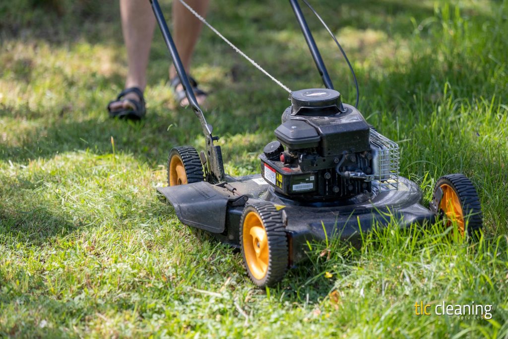 Grass Cutting Services: Tips and Options for Montacute