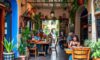 Unique Flavours of San Miguel de Allende Cafes