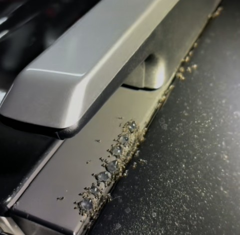 Ant Infestation Management for Your Schofields Car