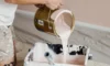 Exterior Paint Jobs: Budget Tips for Sydney’s Humidity Success