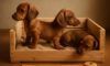 Puppy Comfort Tips for a Cozy Crate Environment